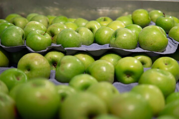 Fresh green apples in market