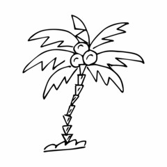 Single image of a palm tree in the style of doodle or sketching, vector graphics, hand drawing.