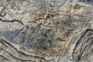 Seamless Stone pattern texture backgroundn wood