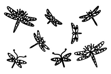 Fototapeta premium Dragonflies black silhouettes with geometric ornament. Basis graphics on white background