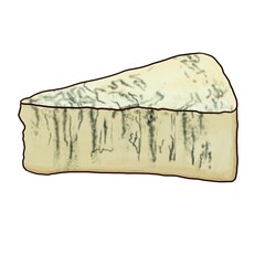 drawing gorgonzola cheese isolated at white background, hand drawn illustration