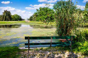 Obraz premium Idyllic place with bench to rest in the park Karlsaue with beautiful view to the swan island, Kassel, Germany