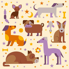 Fototapeta premium pattern with different breeds of dogs and dog toys and stars