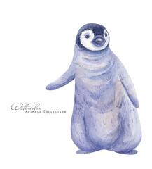 Baby penguin watercolor illustration. Little penguin portrait