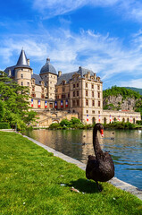 View of Chateau de Vizille from its park with black swan on foreground ,Vizille near Grenoble,...