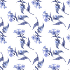 watercolor drawing floral seamless pattern, blue monochrome ornament at white background, hand drawn illustration