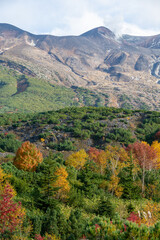 秋のカラフルな林と火山の山頂
