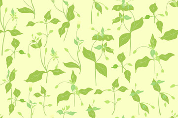 Seamless Pattern with a Green Chickweed Parts