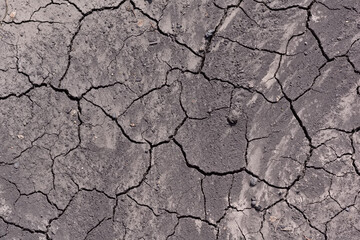 cracks on the ground