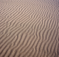 Ripples on a sandy beach. Oregon, 20150523_8336