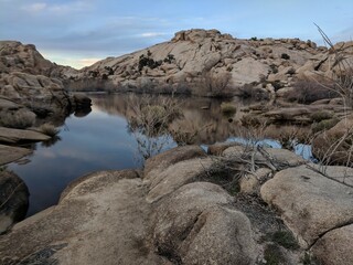 Joshua Tree National Park