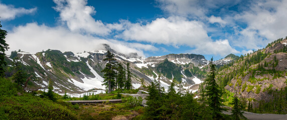 Heather Meadows in the  Mt. Baker-Snoqualmie National Forest. You’ll find fantastic subalpine wildflower displays with heather and huckleberry meadows and hiking trails with fantastic views. © LoweStock