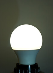 light bulb in the dark