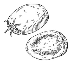 Tomato plum half and whole. Vintage hatching monochrome black illustration. Isolated on white - obrazy, fototapety, plakaty
