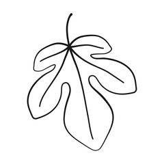 Fig leaf in outline vector icon