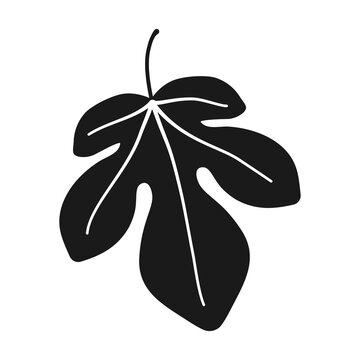 recommend clip art: Fig leaf in silhouette vector icon