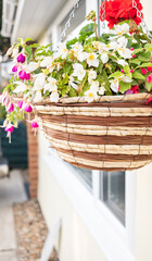 Fototapeta na wymiar Hanging basket of bright and vivid flowers hanging on the exterior of a small bungalow