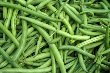 green beans background. harvest, food texture or wallpaper.