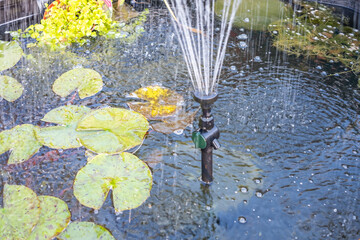 Close and selective focus of lilies and lily pads growing in a garden pond with a sprinkler.