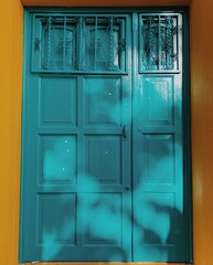 blue door with shutters