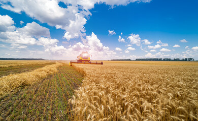 Combine harvester in action on the field. Combine harvester. Harvesting machine for harvesting a...