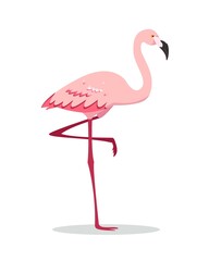 Pink flamingo bird standing on one leg isolated