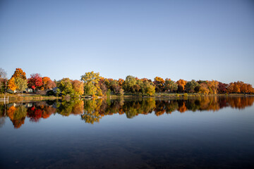 Fall colored leaves on autumn trees in a forest reflecting on a lake during golden hour in the midwest_20