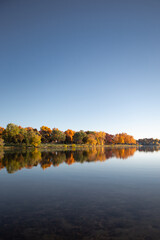 Fall colored leaves on autumn trees in a forest reflecting on a lake during golden hour in the midwest_17