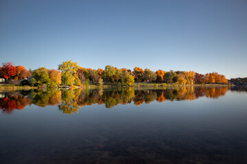 Fototapeta premium Fall colored leaves on autumn trees in a forest reflecting on a lake during golden hour in the midwest_15