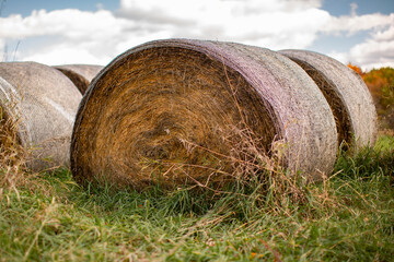 Autumn harvest hay Bales on a midwest field against sky in a tranquil scene_02