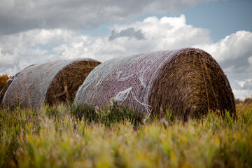 Autumn harvest hay Bales on a midwest field against sky in a tranquil scene_01