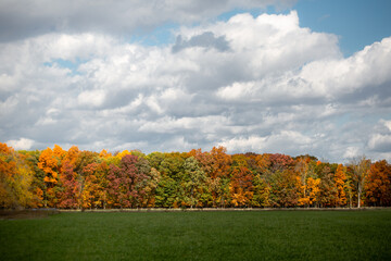 Autumn colored fall trees changing color with red, yellow and orange colored leaves near a green peaceful meadow_04