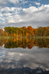Fall colored leaves on autumn trees in a forest reflecting on a lake during golden hour in the midwest_01