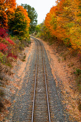 Fototapeta na wymiar Railroad tracks in the middle of nowhere cutting through fall colored autumn trees changing colors_01