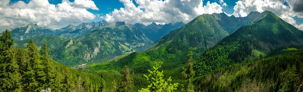 Fototapeta Gęsia Szyja - szlak z Rusinowej Polany, Tatry