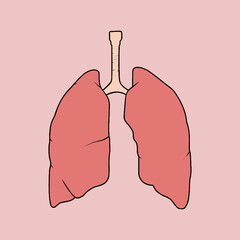 Human lungs anatomy, medically illustration, respiratory system, healthy lungs on pink background, lungs clip art