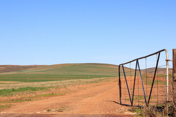 Fototapeta na wymiar Farm gate opened to a dirt road with rolling hills in the background