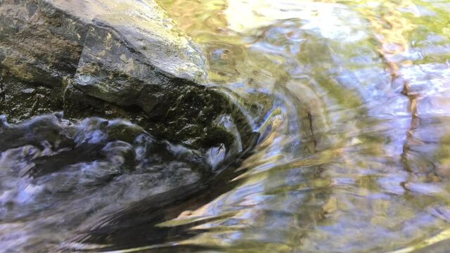 une rivi&egrave;re dans la for&ecirc;t