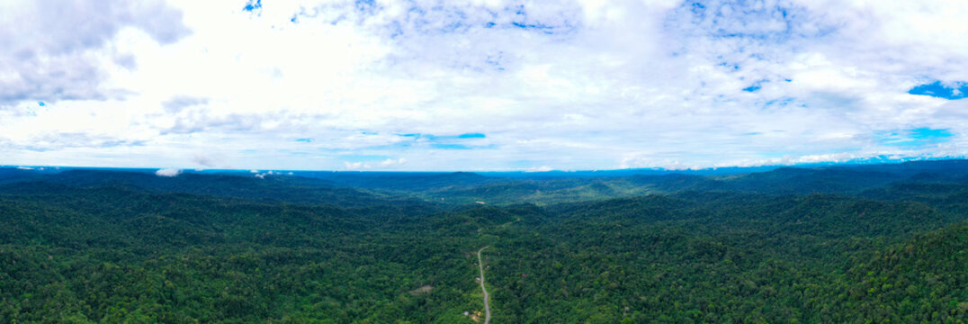 Aerial panorama of the trans-amazonian highway showing a road cutting through the amazon rainforest