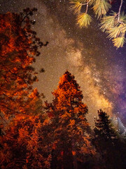 San Pedro Martir Baja California Mexico Milky Way