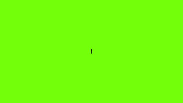 Collection feather icon animation