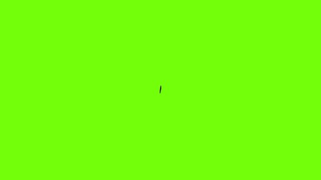 Design feather icon animation