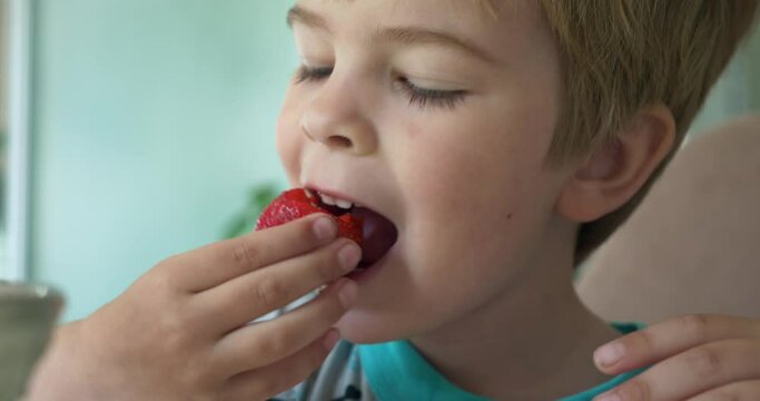 Cute Little Boy Eats Tasty Fresh Strawberry. Adorable Child Kid Enjoys Fruits Sitting at Kitchen Table 4K