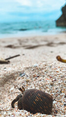 Suecos Beach - Mal País