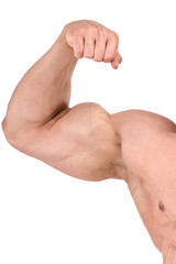 Biceps of a bodybuilder in close-up. Arm. Shoulder. Fist. Isolated on a white background