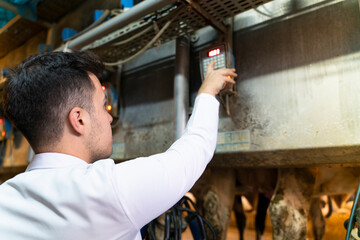 Vet operating machinery in rotary milking parlour on dairy farm with cows