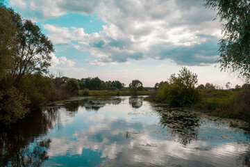 reflection in the water