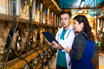 Young farm workers in milk house preparing milking machine 