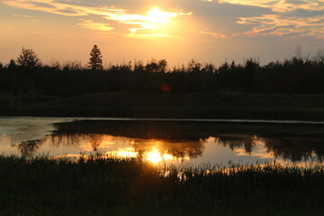 Beauty Of The Sunset, Pylypow Wetlands, Edmonton, Alberta