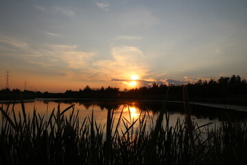 Wetlands, Sunset, Pylypow Wetlands, Edmonton, Alberta